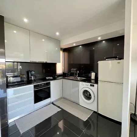 Apartment 2 By Homing